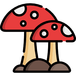 mushroom